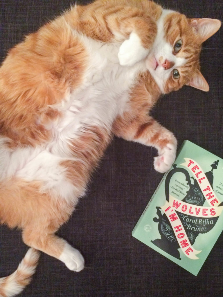 Milo lounges near a copy of Tell the Wolves I'm Home, a novel by Carol Rifka Brunt
