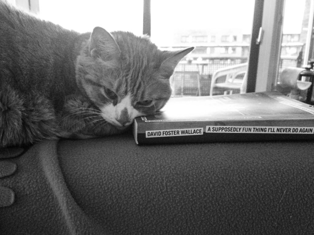 I loved David Foster Wallace's collection of essays, A Supposedly Fun Thing I'll Never Do Again. It's a good headrest for Milo too.