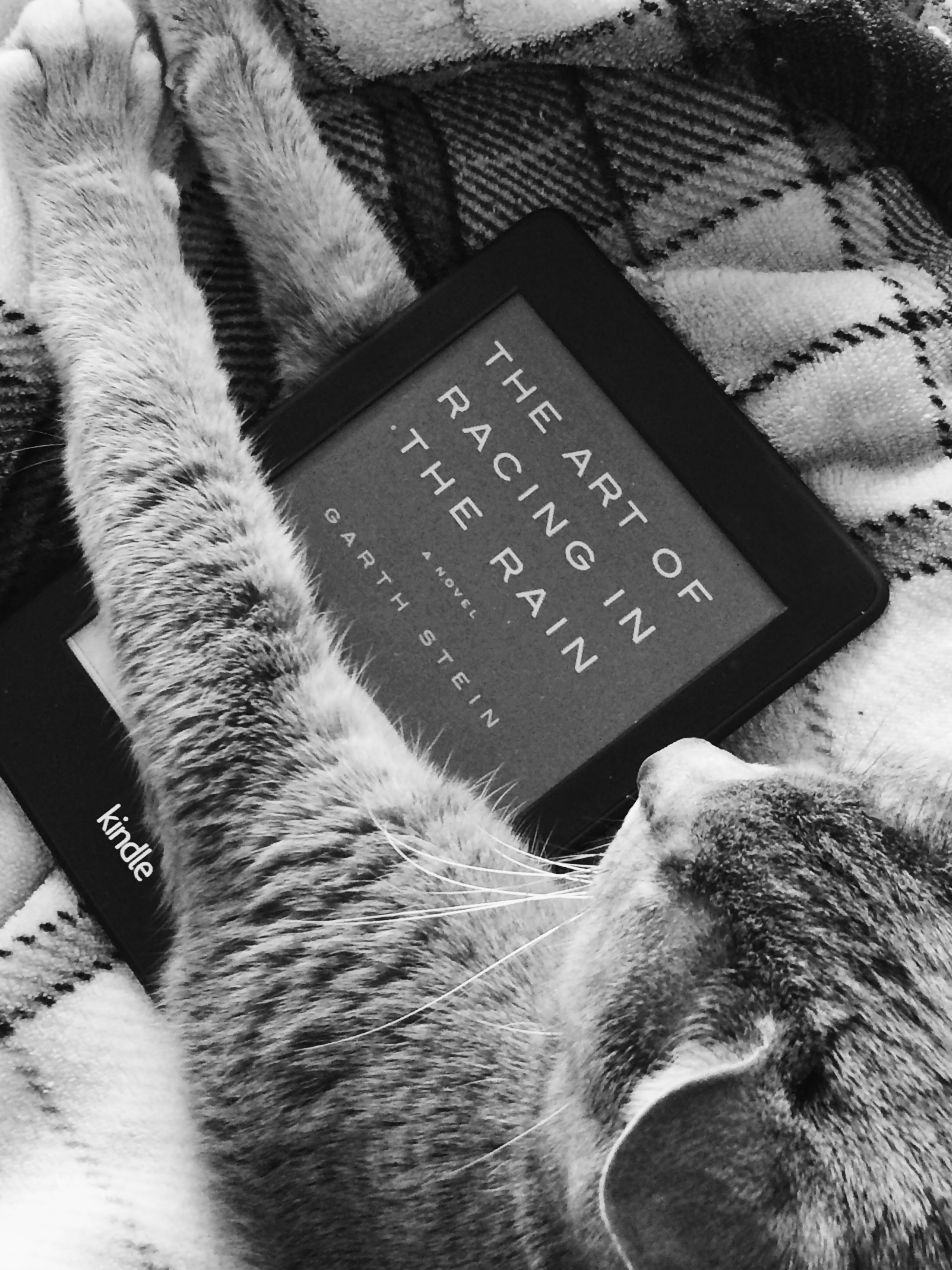 a black and white photo of Ollie the cat snuggling with a Kindle version of Garth Stein's book The Art of Racing in the Rain