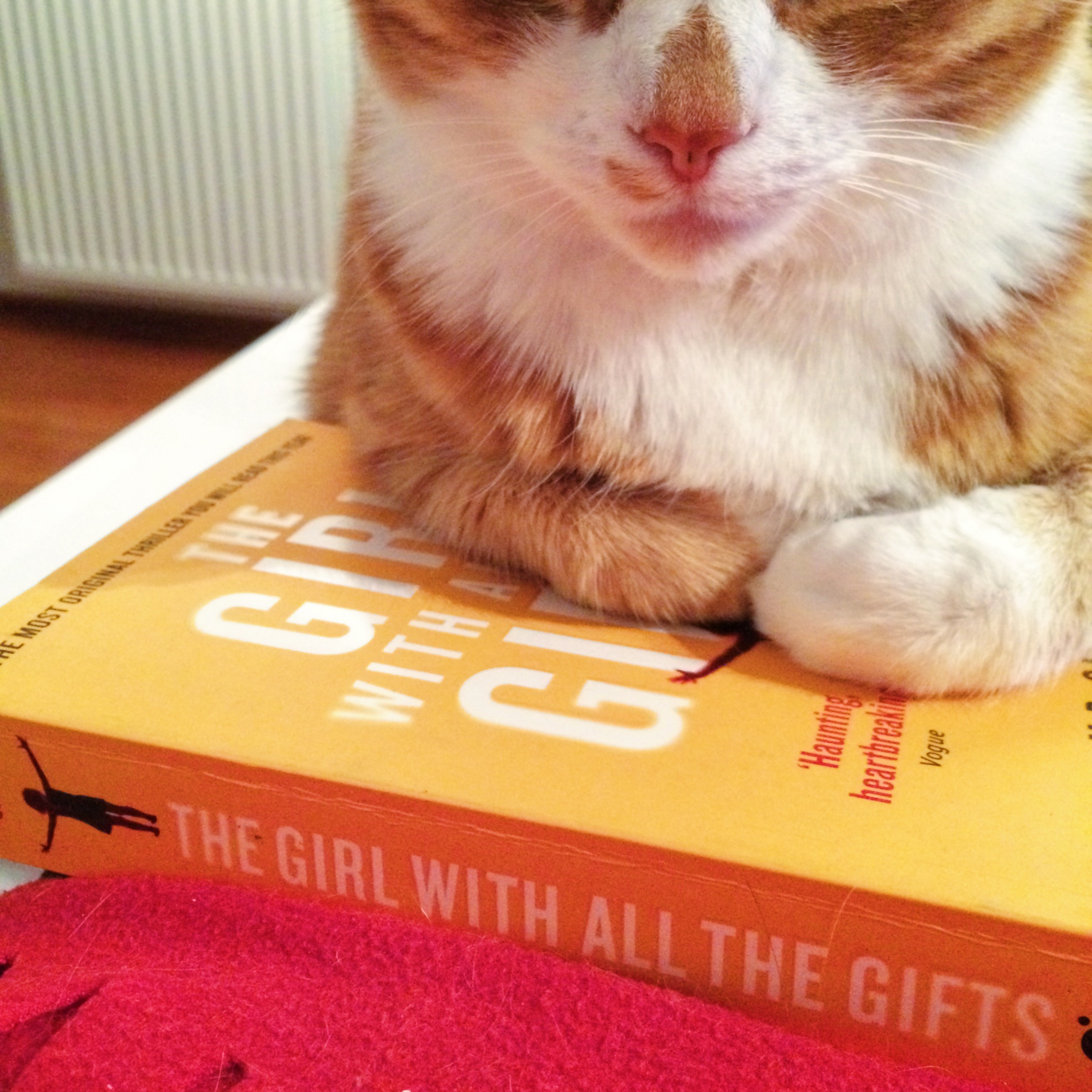 Milo likes to sleep on books, MR Carey's The Girl with all the Gifts pictured here