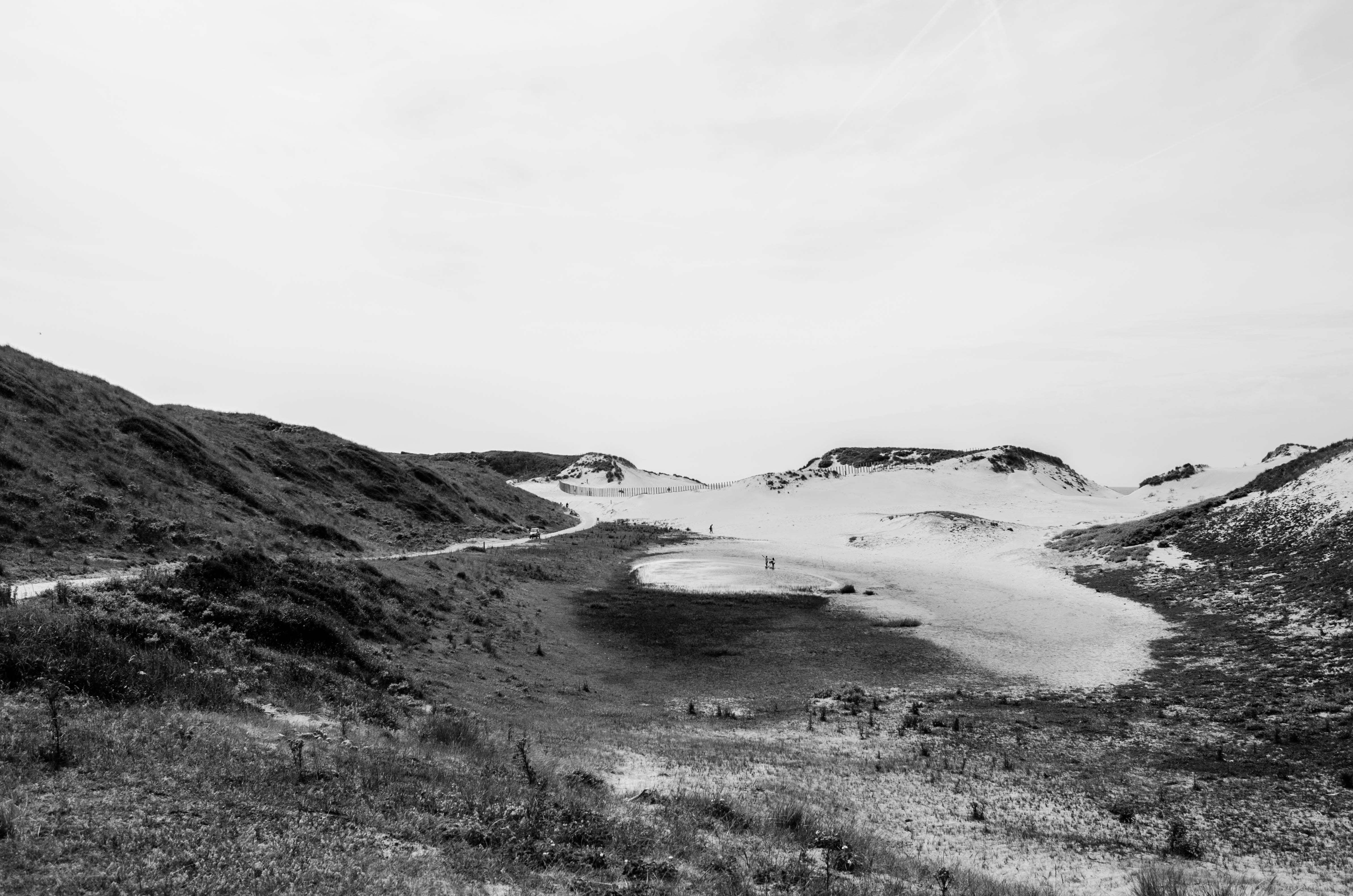 spectacular view of the dunes in Nationaal Park Zuid Kennemerland near Zandvoort in the Netherlands